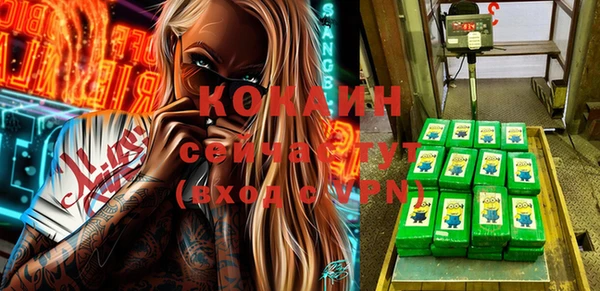 гидра Балахна