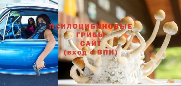 гидра Балахна